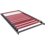 Dieter Knoll Lattenrost, Holz, Birke, Buche, Schichtholz, 100x200 cm, Made in Germany, Federleisten mit Duokappen, nicht verstellbar, alternative Größen erhältlich, Schlafzimmer, Lattenroste, Lattenrost starr