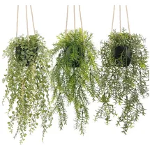 luxuskollektion Hängepflanze künstlich Wohnzimmer Wand Büro Outdoor Schwarz Topf 032