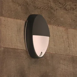 Philips LED Außenwandleuchte Capricorn