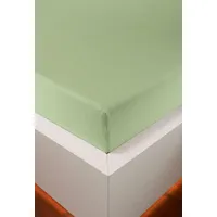 Bellana jersey Royal jersey Spannbetttuch Grün, 90-100-120 x 200-220