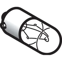 Schneider Electric Glühlampe DL1CB006