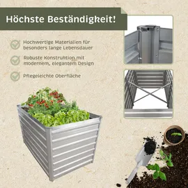 Lemodo Hochbeet Metall eckig 160 x 77 x 77 cm Silber