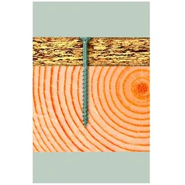 Fischer PowerFast 5,0x100 Senkk. A2 TG TX