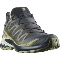 Salomon Xa Pro 3d V9 Goretex Trailrunning-schuhe - India