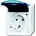 Busch-Jaeger Schuko-Steckdose 20 EBW-53 Grün 1 St