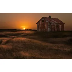 Fototapete PAPERMOON "Photo-Art BRAGI INGIBERGSSON, SEPTEMBER SUN SCHEUNE IM FELD", bunt, B:5,00m L:2,80m, Vlies, Tapeten