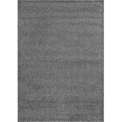 Carpetsale24 Teppich 120x170 cm Grau, Kurzflor, Einfarbig, Modern, Rechteckig, Pflegeleicht, Teppichboden für Wohnzimmer, Schlafzimmer, Essbereich