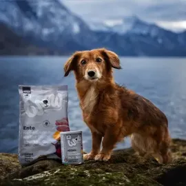 Wow Mini Senior Ente mit Minze 1 kg