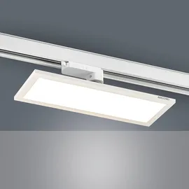 ARCCHIO LED Stromschienenstrahler LED Panel) Hairis Modern, in Weiß 3.000 K, weiß (ral 9010)