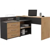 Topeshop Dany ANT/ART KPL Computertisch