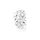 Pandora Liebliche Gänseblümchen Silber 791495EN12