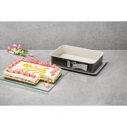 Dr. Oetker Rechteckige Springform Kuchenform Kuchen Form Backform Antihaft