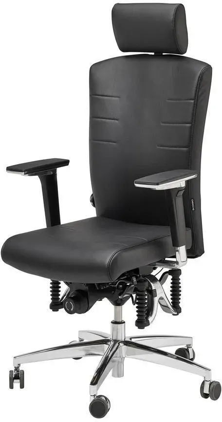 Haider Bioswing Bürodrehstuhl 560 IQ Leder m. NS Sofort Lieferbar