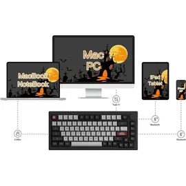Akko 5075B Plus Dracula Castle RGB Gaming Tastatur ANSI 75% Layout 2.4G/Bluetooth/Type-C Linearer Schalter - Grau