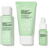 e.l.f. Cosmetics Blemish Breakthrough Blemish Control Basics Kit Gesichtspflegesets