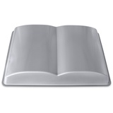 Städter Buch ca. 35x24,5x5,5 cm Silber