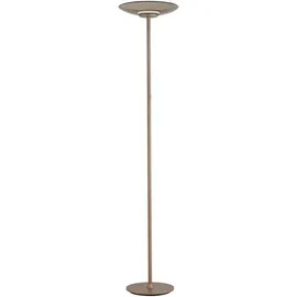 neuhaus pure® by paul neuhaus Moon 32 cm 180 cm bronze