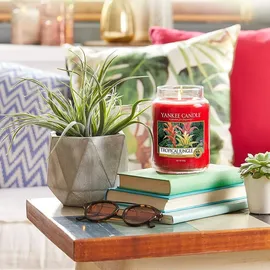 Yankee Candle Tropical Jungle große Kerze 623 g