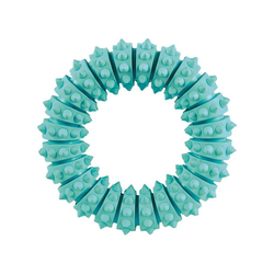 TRIXIE Zahnpflege-Spielzeug Zahnpflege Ring grün