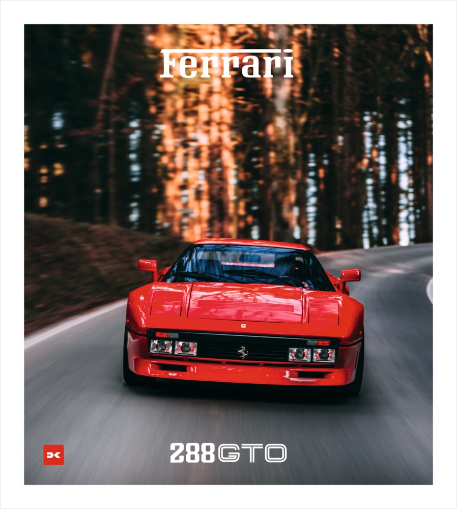 Ferrari 288 Gto - Jürgen Lewandowski  Gebunden