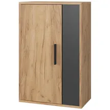 Vicco Regal, Berno, (50.10 x 28.30 x 78.40 cm