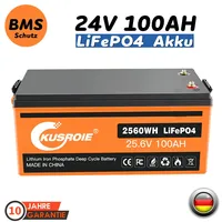 NEU 24V 100AH Lithium Batterie LiFePO4 100A BMS für Wohnmobil Solaranlage Boot
