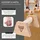PULLUP & DIP Holz Liegestützgriffe inkl. Wrist Wraps