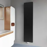 HENRAD Vertikal Heizkörper Plan 1800 x 500 mm 1266 W schwarz Mittelventil