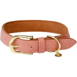 Kentucky Hunde Halsband vegan Leder
