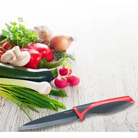 Westmark Allzweckmesser 12 cm grau/rot