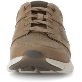 Gabor Sneaker Low Herren Beige/Braun 42,5