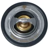 NRF Thermostat, Kühlmittel