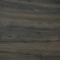 Eurostone Terrassenplatte Feinsteinzeug Strobus Ebony 60 x 60 x 2 cm 2 St.