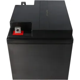 Fiam Fiamm FG24204 Akku 42Ah