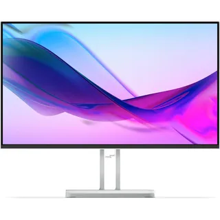 Lenovo L24i-4A 24" grau