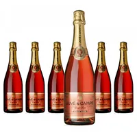 Juvé y Camps Cava Brut Rosé 0,75 l