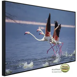 papermoon Infrarotheizung »EcoHeat - Flamingos heben ab«, Matt-Effekt - bunt