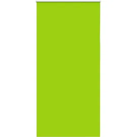 vidaXL Verdunkelungsrollo Grün 105x210cm Stoffbreite 100,7cm Polyester