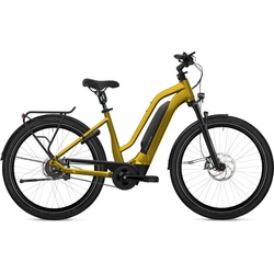 Flyer Upstreet3 7.23 Gold Modell 2023