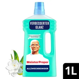 Meister Proper Allzweckreiniger Frühlingserwachen 1 l