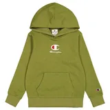 Champion Kapuzensweatshirt Hooded Sweatshirt XL (164/170)