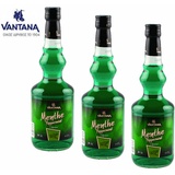 Vantana Liqueur Menthe Pfefferminzlikör 3x 700ml