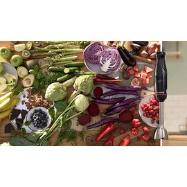 Bosch ErgoMaster MSM4B624 Stabmixer