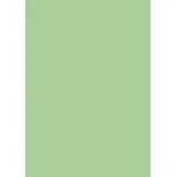 Brunnen 204822153 Pergamin-Rolle 70 x 100 cm hellgrün