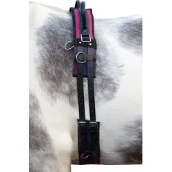 Longiergurt Canvas mit Doppelgriff navy/passion pink bunt WARMBLUT