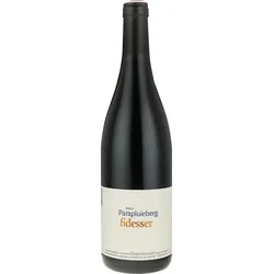 Parapluie Syrah Weingut Rudolf Fidesser 2019 BIO
