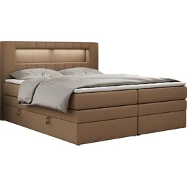 MKS Gold-5-King 180 x 200 cm H3 Braun