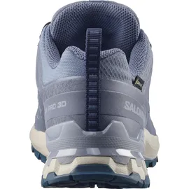 Salomon XA Pro 3D V9 GTX Damen Grisaille/Tradewinds/Spellbound 37 1/3