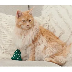 Tchibo - Katzen-Spielzeug - dunkelgrün