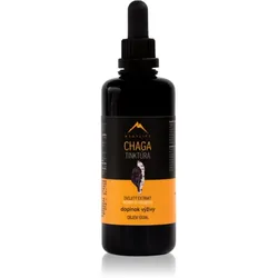 Hrotlife Chaga BIO Tinktur zur Förderung des physischen und psychischen Gleichgewichts 100 ml